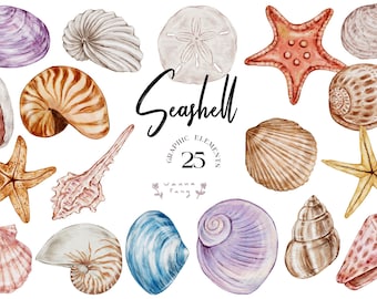 Akvarell snäckskal Clipart: Strandbröllopsgrafik (PNG, digital nedladdning)