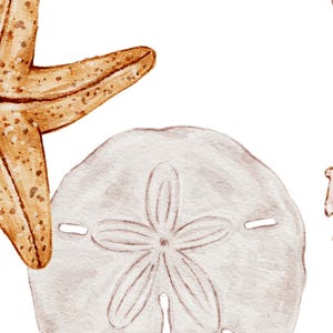Watercolor Seashells Clipart, Ocean Sea Shell Clipart, Under the Sea ...