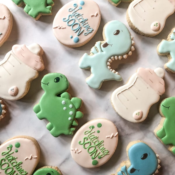 Dinosaur baby shower cookies Hatching Soon Baby cookies 1 dozen