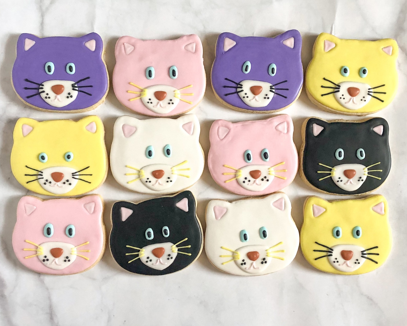 cat cookies