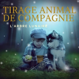 Tirage animal de compagnie-Tirage d'oracles- Communication animale spirituelle-Medium animal