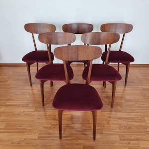 Set von 6 Italienischen Esszimmerstühlen, Ico Parisi Stil, 60er Jahre