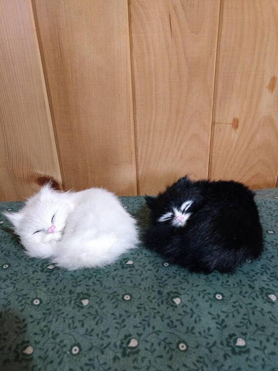 Toy cats clearance that look real