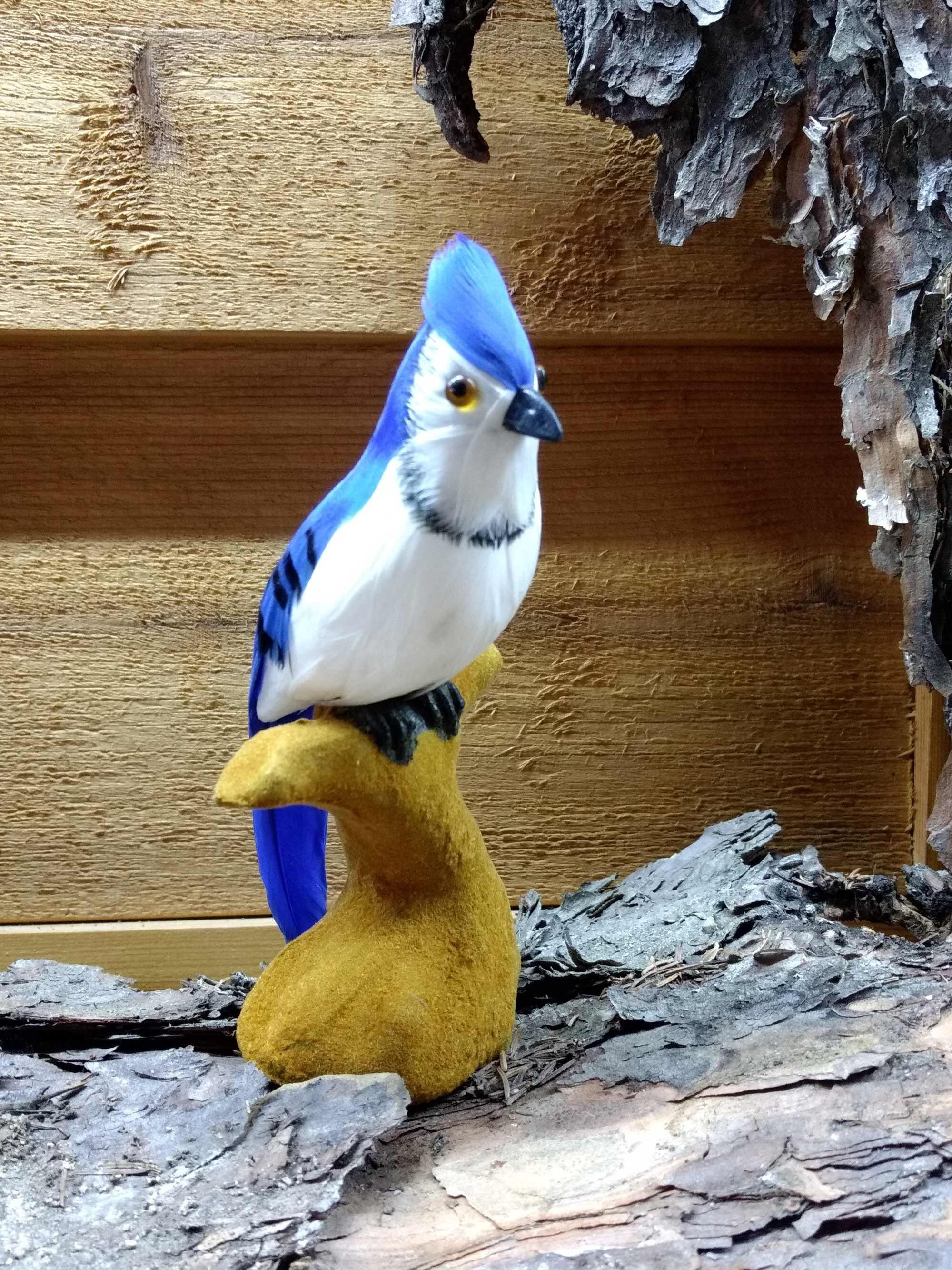 Handmade Blue Jay Toy Blue Jay Bird Replica Made With Real Etsy Handmade Blue Jay Toy Blue Jay Bird Replica Made With Real Etsy