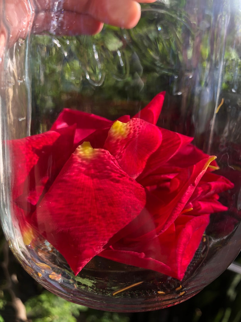 Red Rose Nectar Edible Flower Extract in 2oz Clear Dropper Etsy