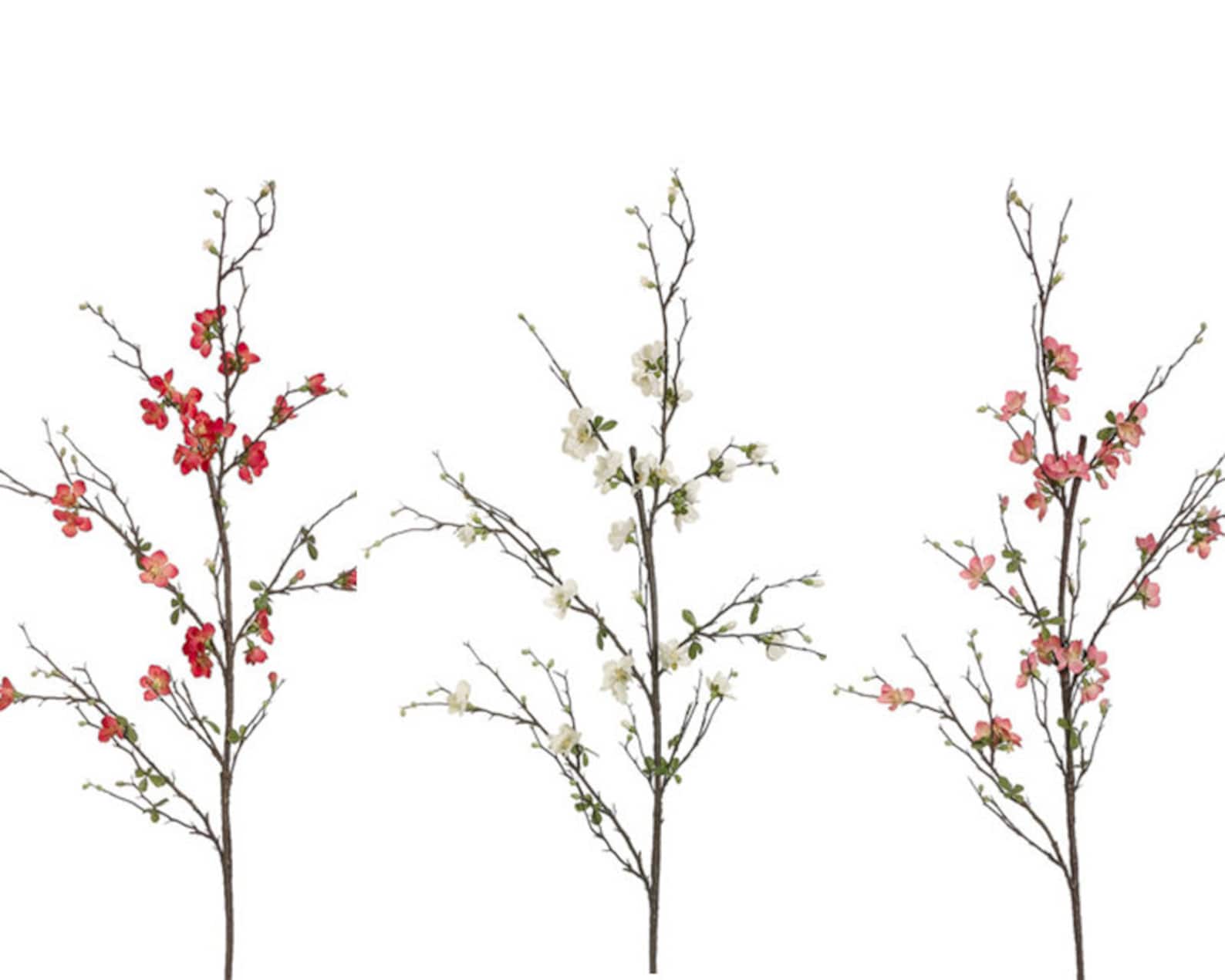 Flowering Branch 3 Colors Decorative Branch Quince Blossom Etsy