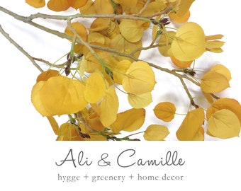 Large Yellow Aspen: Brighten up your space with our lifelike Aspen adding vibrancy and a pop of color to any room with our eye catching stem