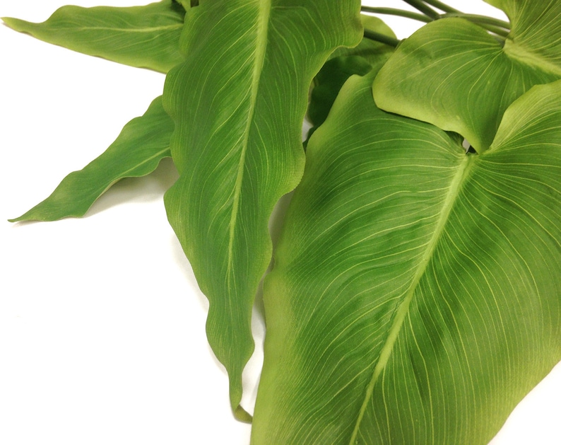 Calla lily, artificial greenery, tropical foliage, tropical leaf, tropical plant, tropical floral, artificial plant, indoor plant image 5