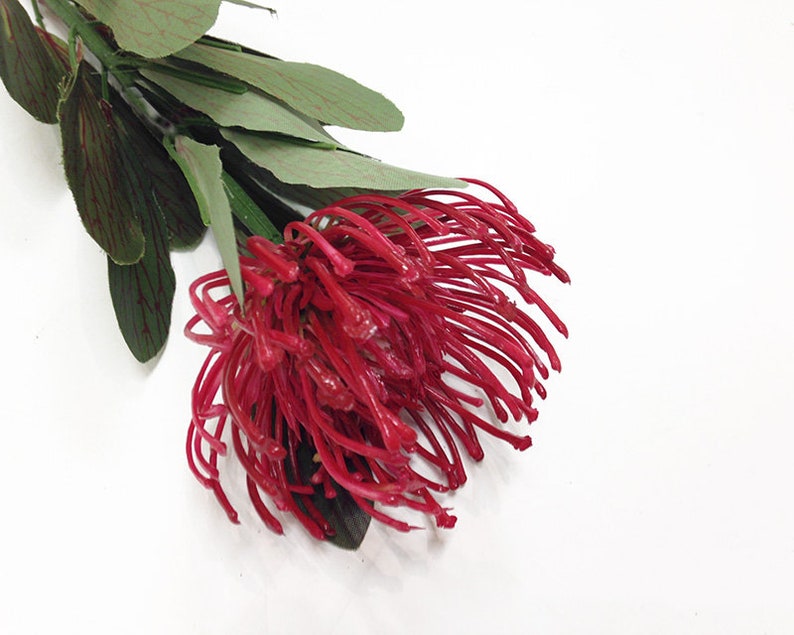 Pincushion protea 4 colors faux Leucospermum artificial Etsy
