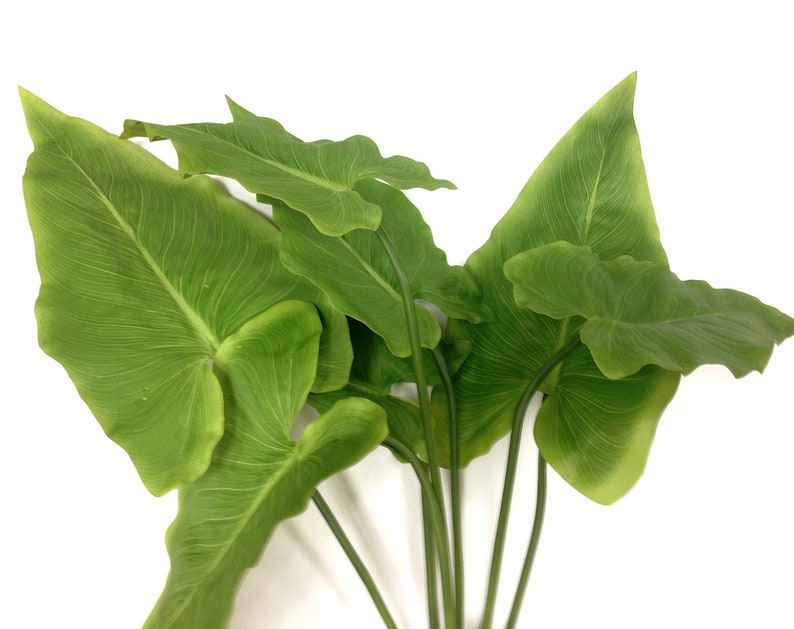 May include: A cluster of artificial green leaves with prominent veining. The leaves are a vibrant green color and have a smooth texture. The stems are a dark green color. The leaves are arranged in a natural, organic way.