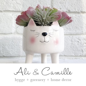 Kitty pot sold with and without faux succulents, NOTE:sample succulents in pic, Christmas gift, kitty gift,Mother&#39;s Day gift, cat lover gift