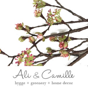 May include: A bunch of brown branches with pink and green flower buds. The branches are arranged in a fan shape and are against a white background. The text "Ali & Camille" is written in gray script below the branches. The text "hygge + greenery + home decor" is written in gray below the script.