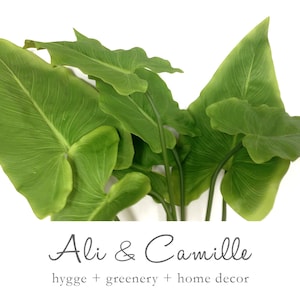 May include: A cluster of large, vibrant green leaves with prominent veining. The leaves are arranged in a natural, organic pattern, suggesting a plant or floral arrangement. The text "Ali & Camille" is below the leaves, with the words "hygge + greenery + home decor".