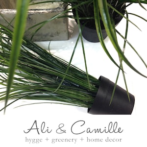 UV Protected tall grass in pot, UV faux rush grass, outdoor-indoor  protected home decor, UV protected artificial arrangement, greenery