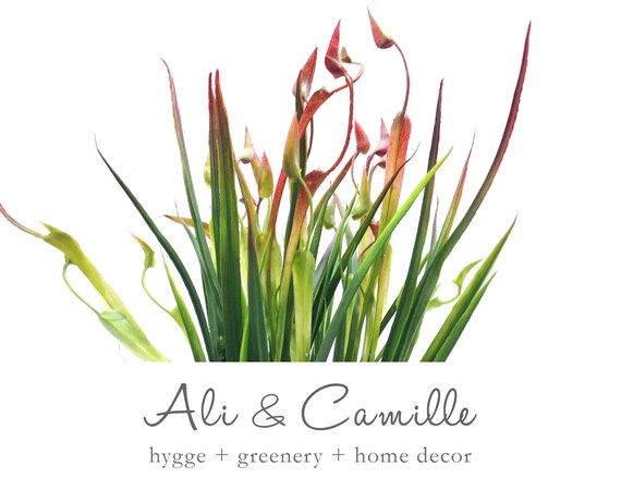 Decorative Grass Faux Reed Grass Home Decoration Indoor Etsy