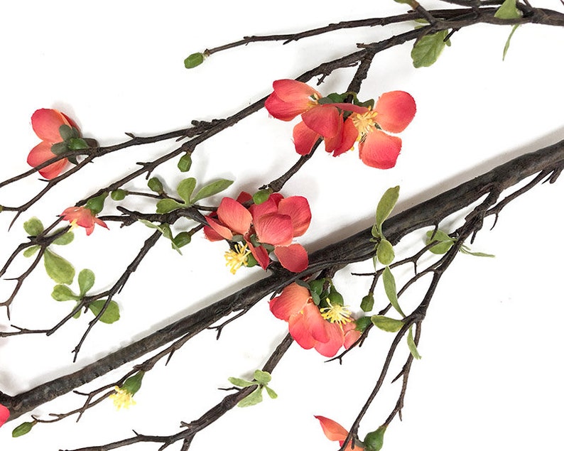 Flowering branch, 3 colors, sold individually, high end decorative branch, Quince blossom, faux flowering Quince branch, artificial branch image 3