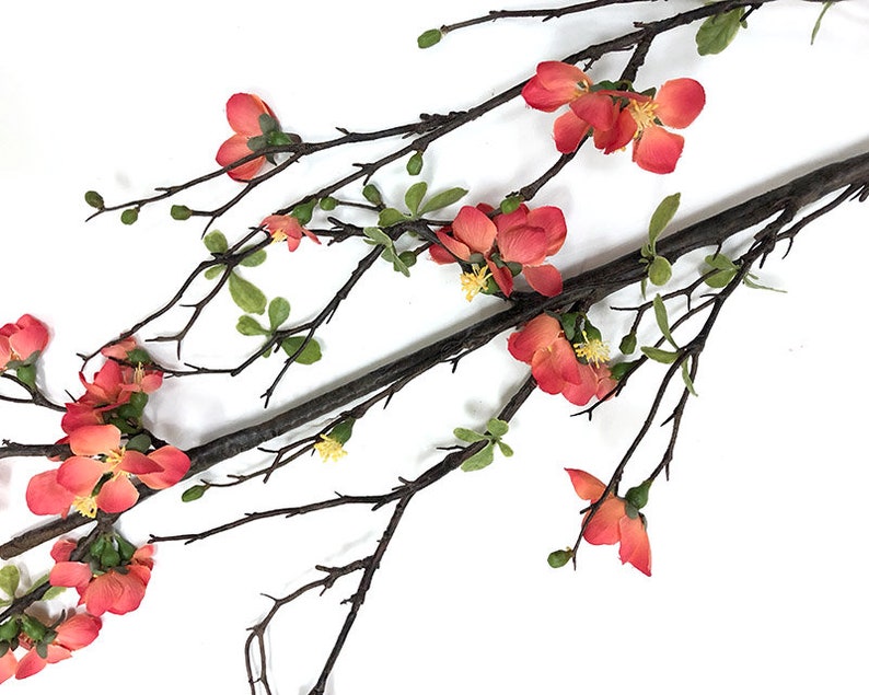 Flowering branch, 3 colors, sold individually, high end decorative branch, Quince blossom, faux flowering Quince branch, artificial branch image 2