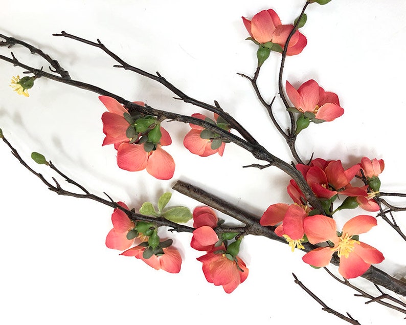 Flowering Branch 3 Colors Decorative Branch Quince Blossom Etsy