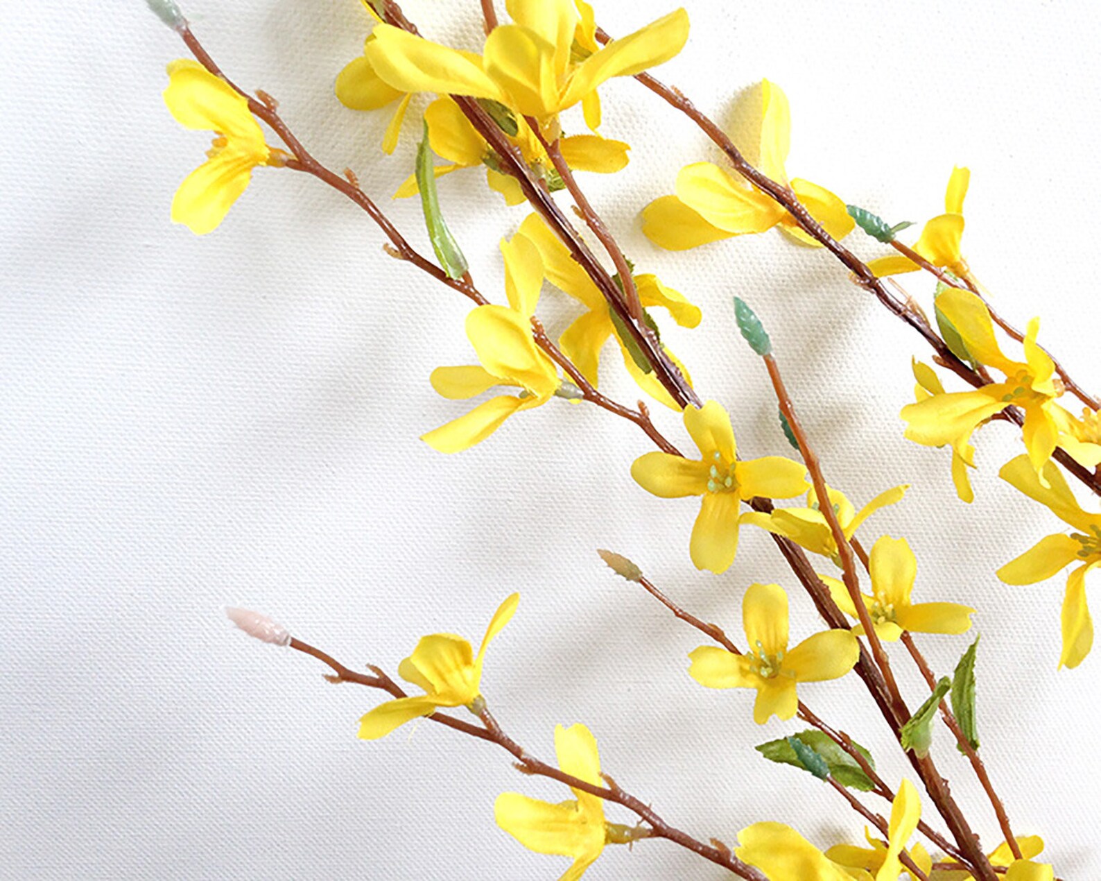 Forsythia Faux Forsythia Yellow Blooming Branch Spring Etsy