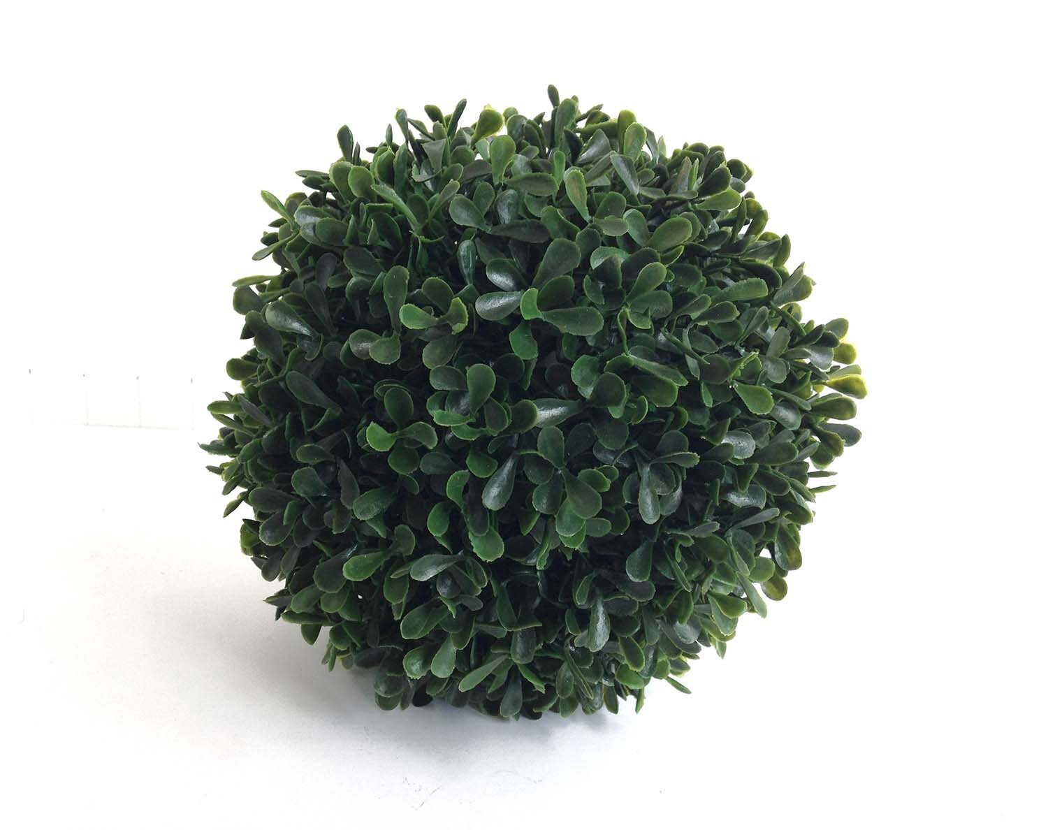 7 Boxwood ball LARGE boxwood orb greenery boxwood Etsy