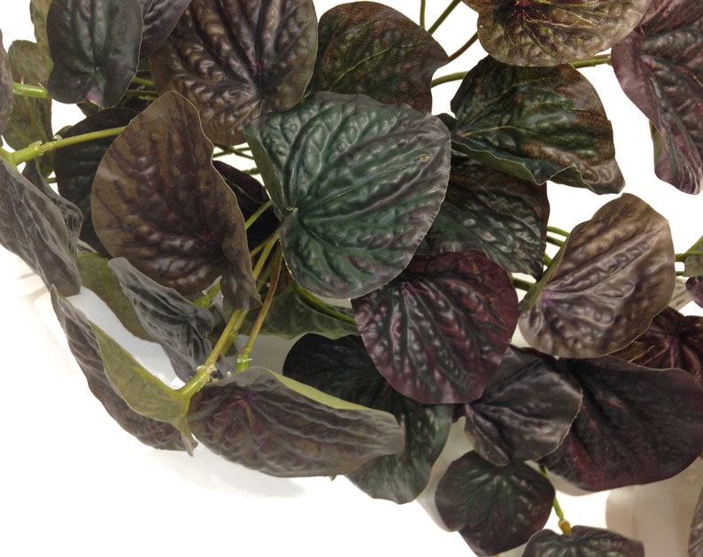 Peperomia, lifelike artificial hanging house plant, vibrant green with a touch burgundy. Effortlessly add a touch of greenery to any corner. image 3