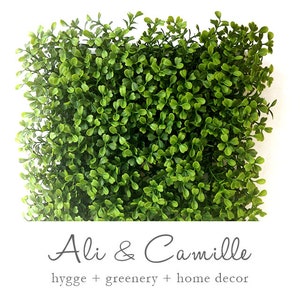 Backdrop wedding, boxwood wall, backdrop photography, boxwood panel, boxwood backdrop, greenery wedding, greenery wall, greenery backdrop