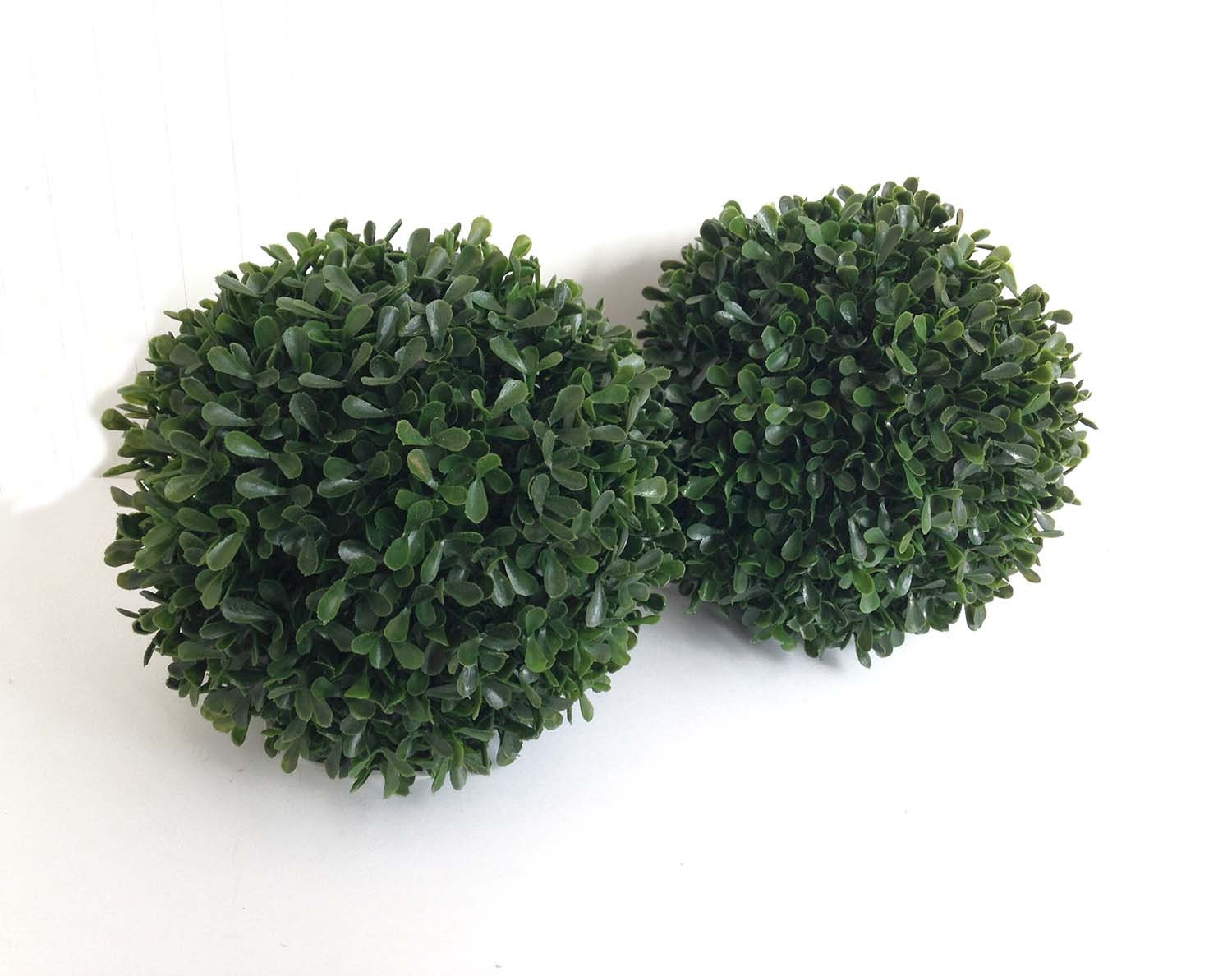 7 Boxwood ball LARGE boxwood orb greenery boxwood Etsy