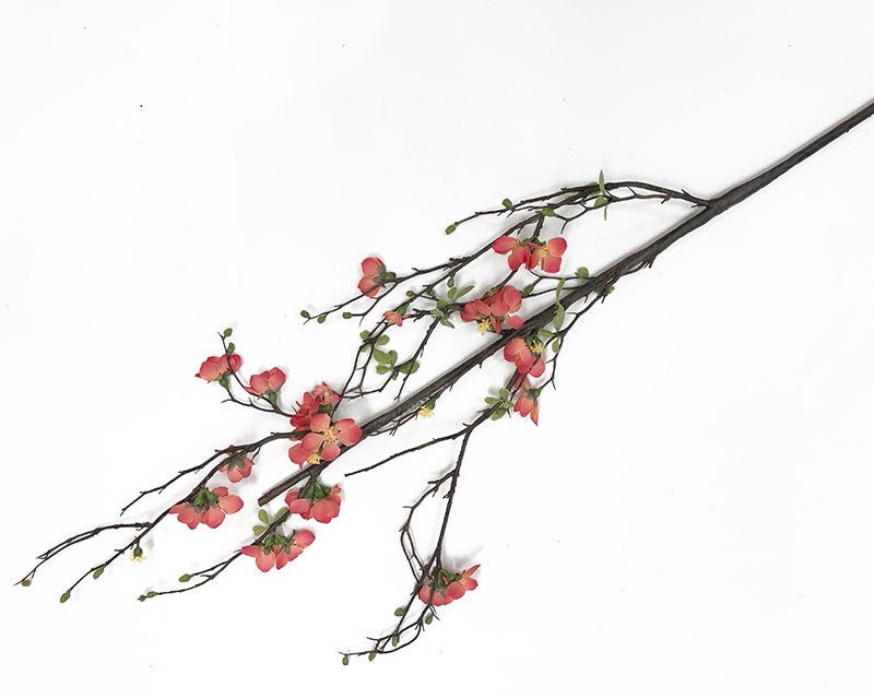 Flowering Branch 3 Colors Decorative Branch Quince Blossom Etsy