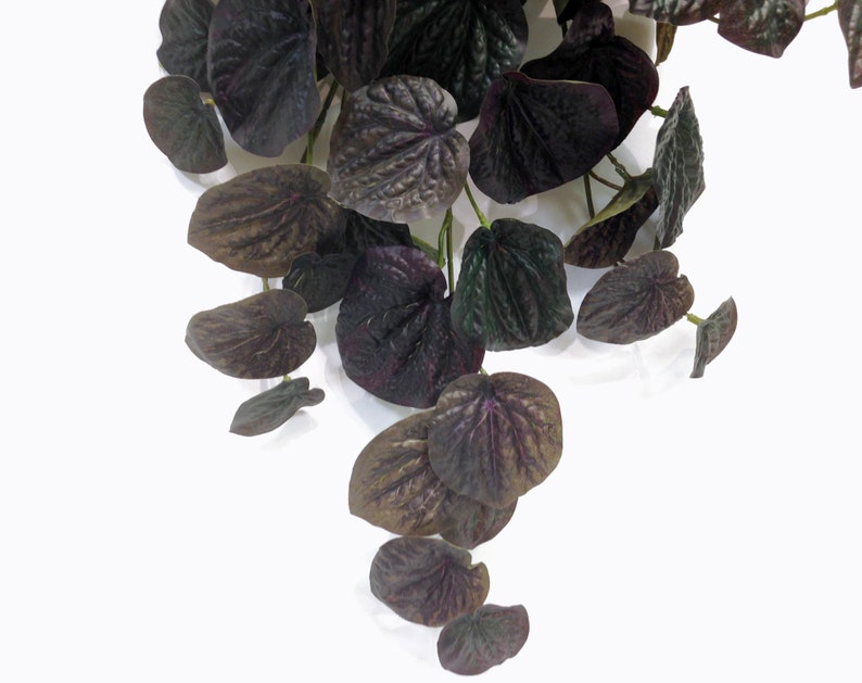 Peperomia, lifelike artificial hanging house plant, vibrant green with a touch burgundy. Effortlessly add a touch of greenery to any corner. image 5