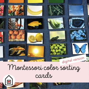 Montessori Color Sorting Cards image 1