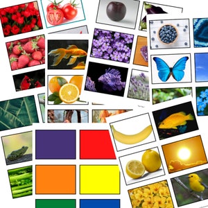 Montessori Color Sorting Cards image 2