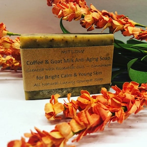 Organic Coffee and Raw Goat Milk Anti Aging Soap with Coffee Scrub ~ Mitlow Coffee Soap