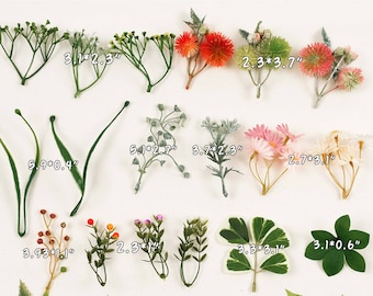 Juego combinado de relleno de flores pequeñas de hoja verde, 51 Uds., 1 paquete de vegetación suelta para manualidades DIY, arreglos florales, ramos, accesorios para fotos, decoración, planta falsa
