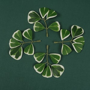 6/150PCS Artificial Silk Green Leaf Small Variegated Ficus Fake Ficu Triangularis For DIY Crafts Tiny Bouquets Scrapbook Box Decor