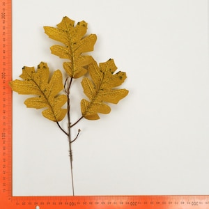 Brown Faux Oak Fall Leaves Stem 11.8x7.8&quot;Bulk Artificial Silk Leaves - Fall Oak Leaf Maple Leaves for DIY Rattan Bouquets Filler Accessories