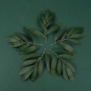 以下が含まれることがあります： 濃い緑色の背景に、6本の緑の葉の枝が対称的に配置され、星形を作っています。