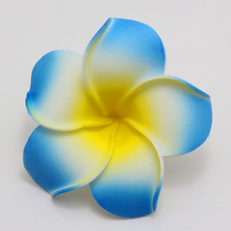 6cm Hawaiian Flowers Fake Plumeria Lots of Artificial Foam Etsy