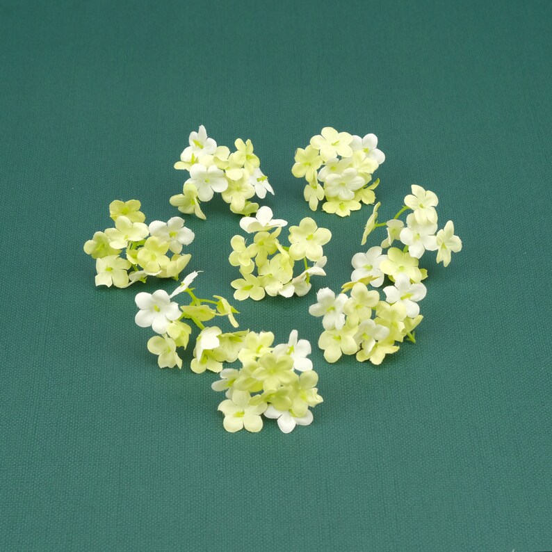May include: A cluster of small, white and yellow flowers with delicate petals. The flowers are arranged in a circular pattern on a green background.