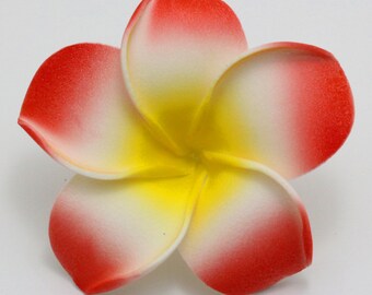 Fiori Galleggianti Per Piscina 6 Pezzi Fiore Di Loto Piante Acquatiche Per Laghetto Fiori Di Loto Floating Flowers Ninfea Floating Plant Le Ninfee Piante Galleggianti Per Acquario Nozze 88913595