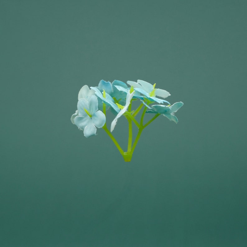 May include: A cluster of light blue flowers with green stems against a teal background.