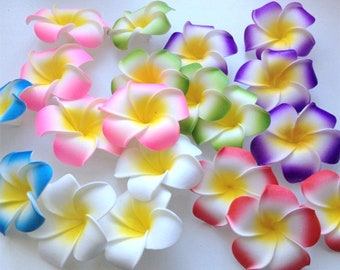 Frcolor Lot De 24 Pinces à Cheveux En Forme De Fleur De 6,1 Cm