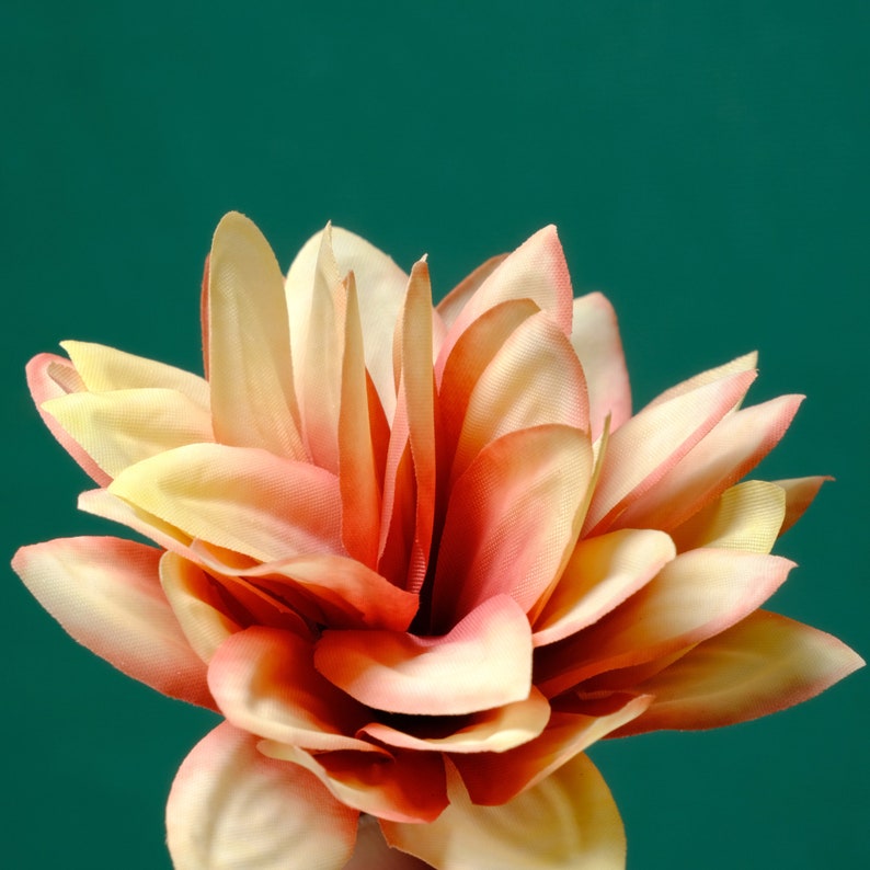 Puede incluir: Una flor grande, delicada, de color melocot&oacute;n con muchos p&eacute;talos. La flor est&aacute; hecha de tela y tiene una textura suave y en capas.