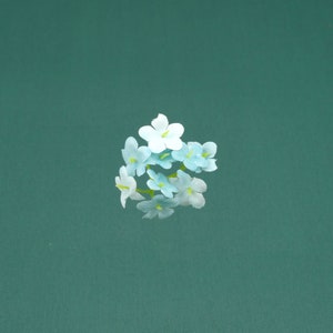 May include: A cluster of delicate light blue flowers with white centers, arranged in a circular shape against a teal background.