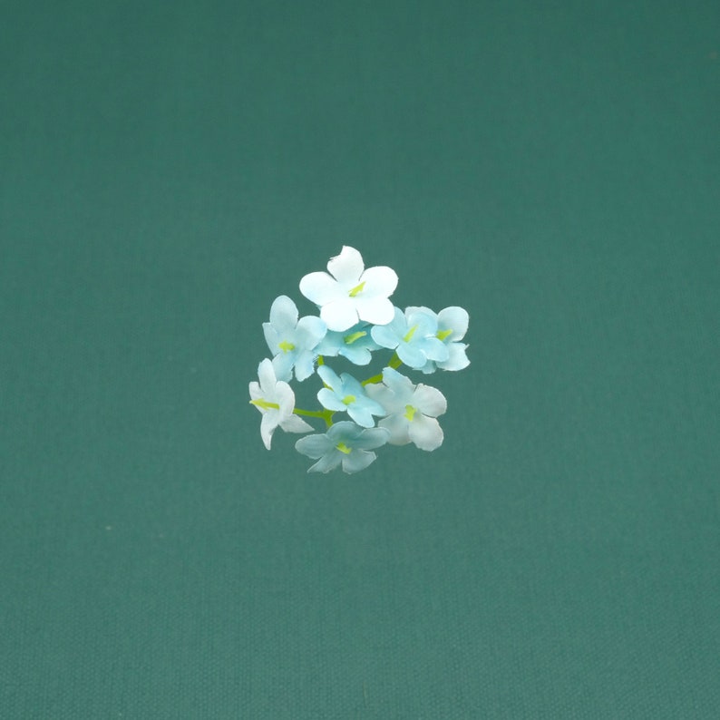 May include: A cluster of delicate light blue flowers with white centers, arranged in a circular shape against a teal background.