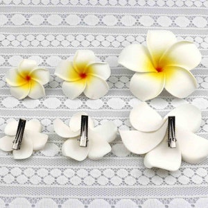 May include: Six white plumeria flower hair clips with yellow centers. The clips are arranged in two rows on a white lace background.