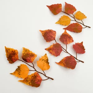May include: Branches with colorful autumn leaves in shades of red, orange, and yellow. The leaves have a textured appearance and are arranged on a white background. The image evokes a fall or seasonal theme.