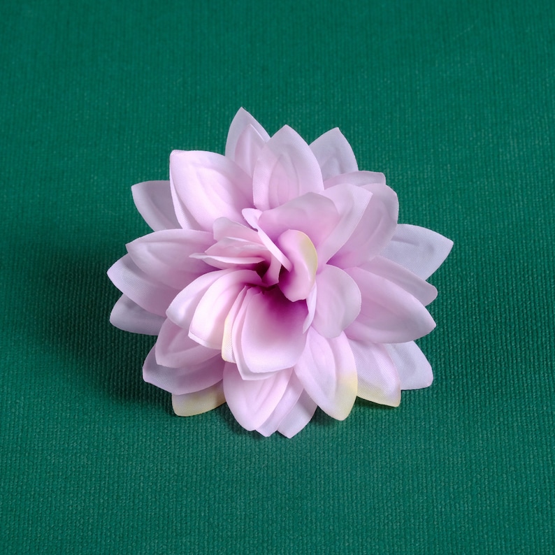 Puede incluir: Una sola flor rosa p&aacute;lido con m&uacute;ltiples p&eacute;talos. La flor est&aacute; enfocada y el fondo es verde s&oacute;lido.