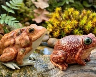 Figura de rana realista inspirada en la naturaleza, pintada a mano, figura coleccionable para decoración.
