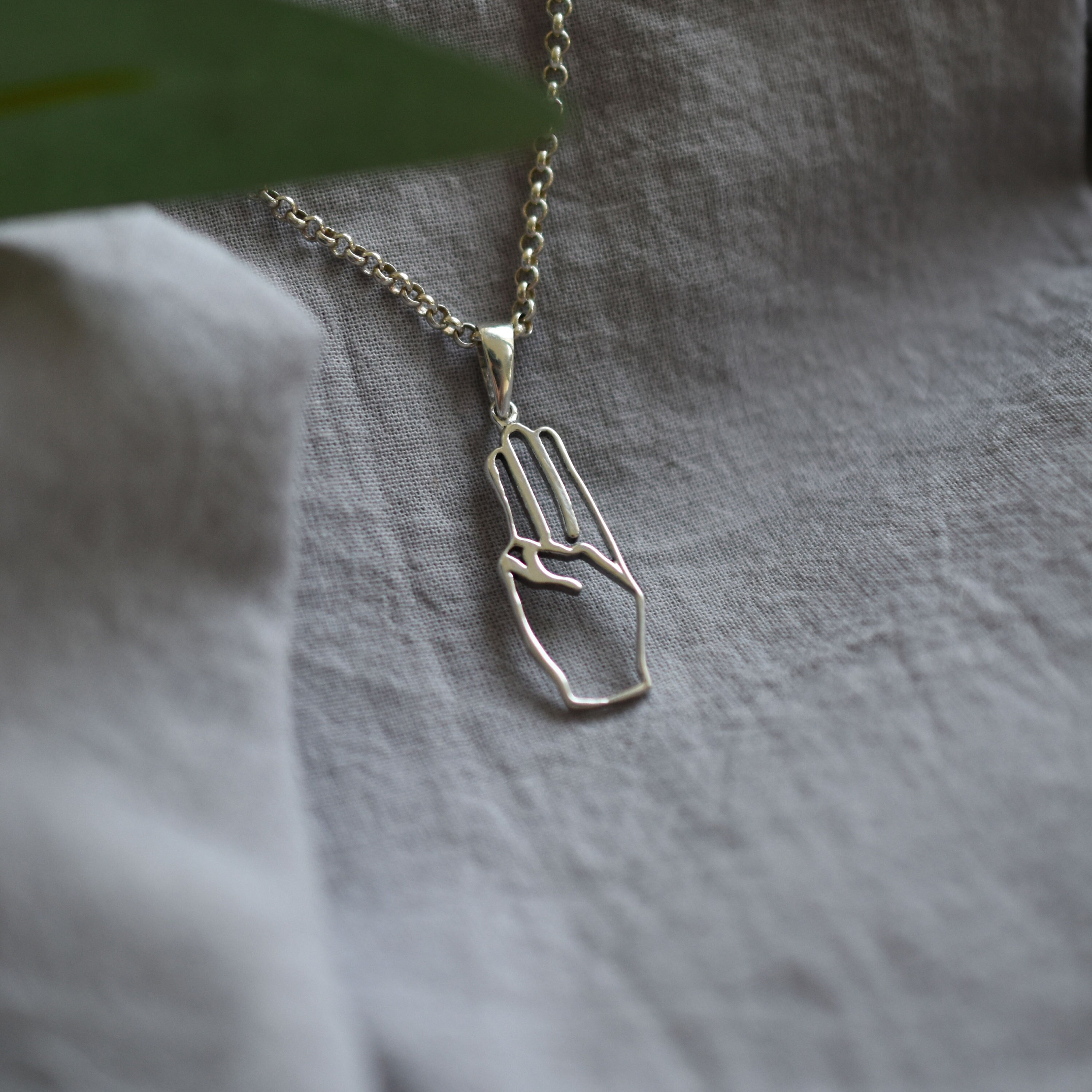 3 - Sinsajo | PDF | Naturaleza, image size:3000x3000