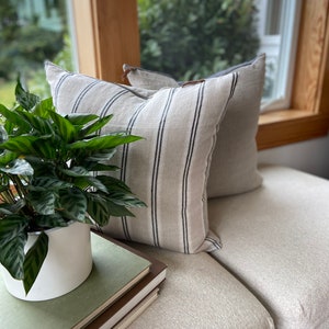 May include: Two striped throw pillows with a beige and black striped pattern are on a white couch. A green potted plant with large leaves is in front of the pillows. A stack of books is on the couch in front of the plant.